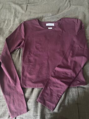 Aritzia Babaton Burgundy Long-Sleeve Crew Tee